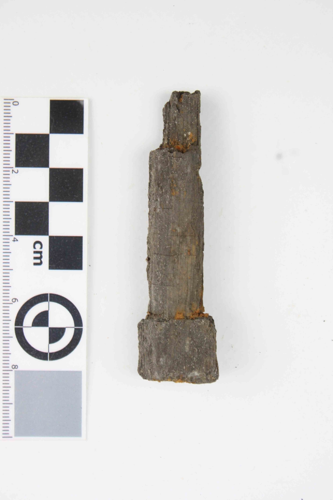 File ATD 43578 (6).jpg